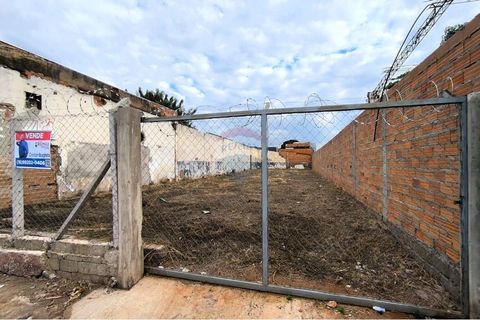 Foto Terreno