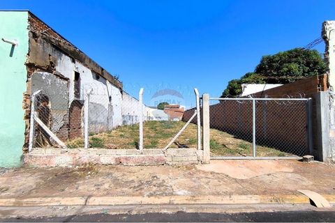Foto Terreno
