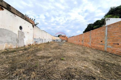 Foto Terreno