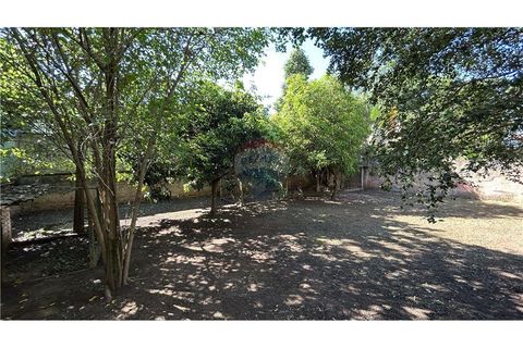 Foto Fazenda / Sítio / Chácara