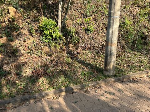 Foto Terreno