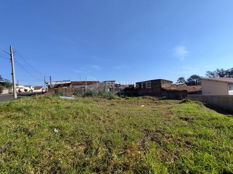 Foto Terreno