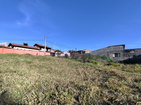 Foto Terreno