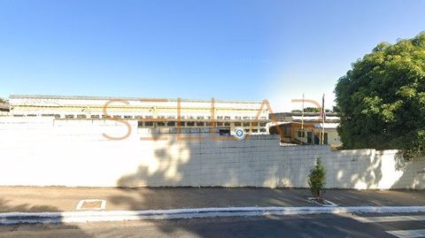 Foto Galpão / Depósito / Armazém / Pavilhão