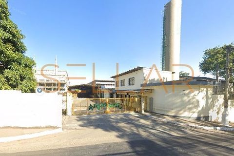 Foto Galpão / Depósito / Armazém / Pavilhão