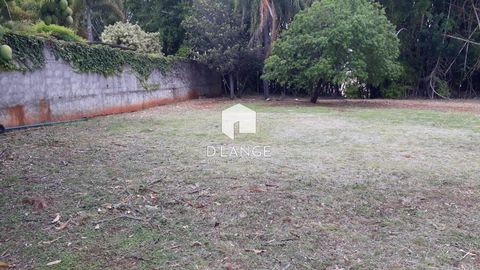 Foto Terreno
