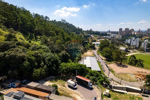 Foto Terreno