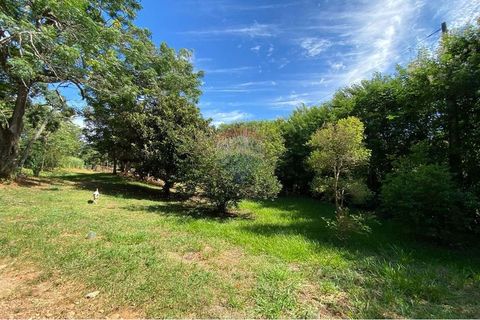 Foto Fazenda / Sítio / Chácara