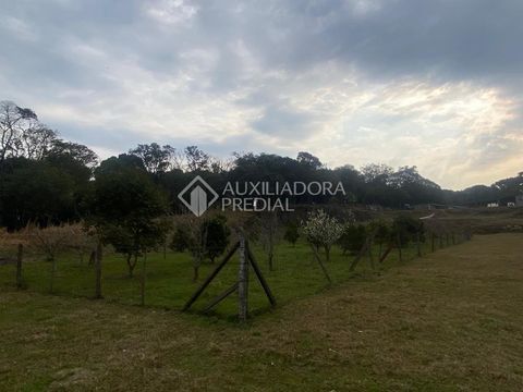 Foto Fazenda / Sítio / Chácara