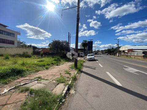 Foto Terreno