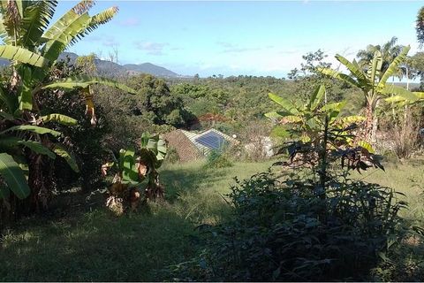 Foto Terreno