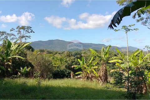 Foto Terreno