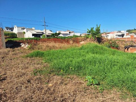 Foto Terreno