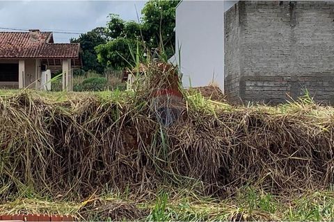 Foto Terreno