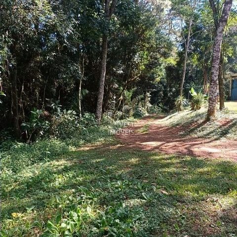 Foto Fazenda / Sítio / Chácara