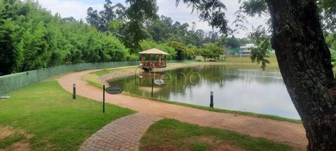 Foto Terreno