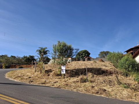 Foto Terreno