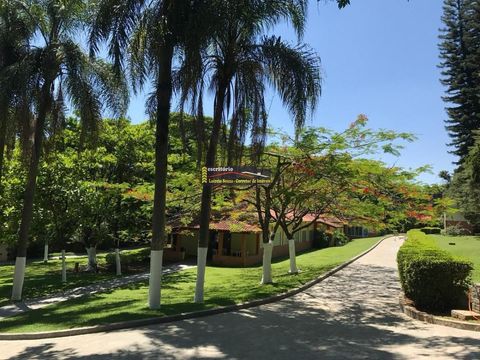 Foto Fazenda / Sítio / Chácara