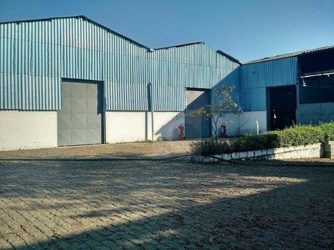 Foto Galpão / Depósito / Armazém / Pavilhão