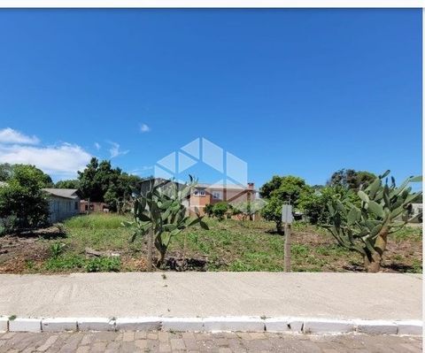 Foto Terreno