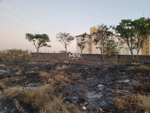 Foto Terreno