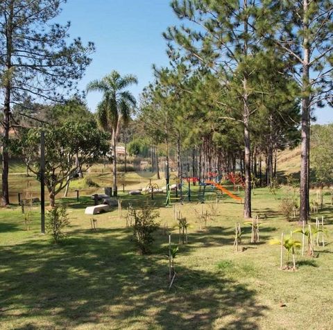 Foto Terreno
