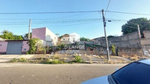 Foto Terreno