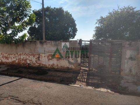 Foto Terreno