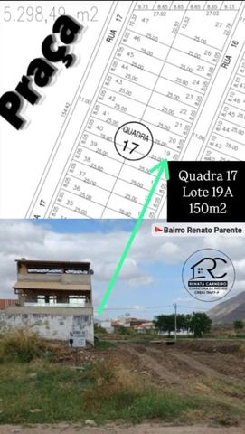 Foto Terreno