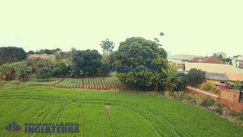 Foto Fazenda / Sítio / Chácara