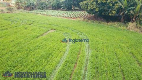 Foto Fazenda / Sítio / Chácara