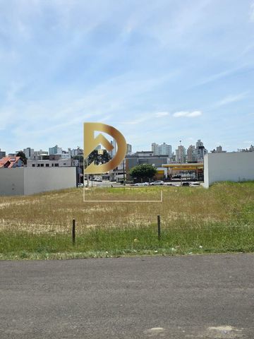 Foto Terreno
