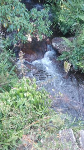 Foto Fazenda / Sítio / Chácara