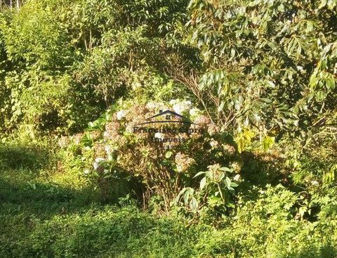 Foto Fazenda / Sítio / Chácara