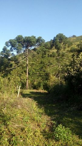 Foto Fazenda / Sítio / Chácara