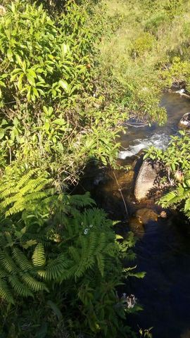 Foto Fazenda / Sítio / Chácara