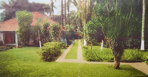 Foto Fazenda / Sítio / Chácara