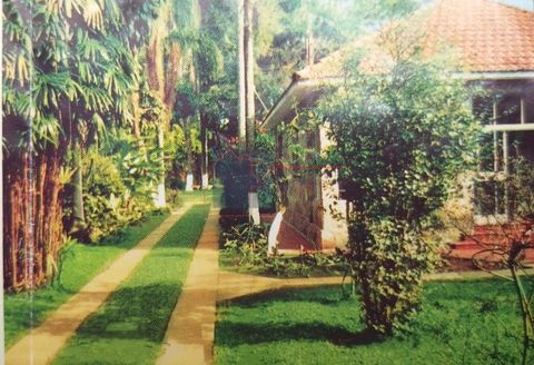 Foto Fazenda / Sítio / Chácara