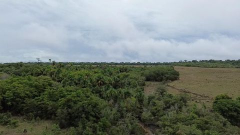 Foto Fazenda / Sítio / Chácara