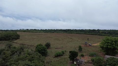 Foto Fazenda / Sítio / Chácara