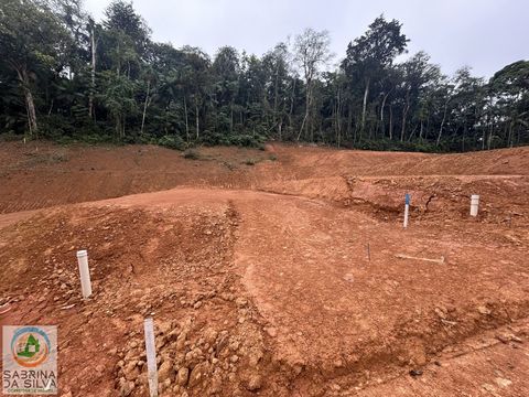 Foto Terreno