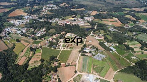 Foto Terreno