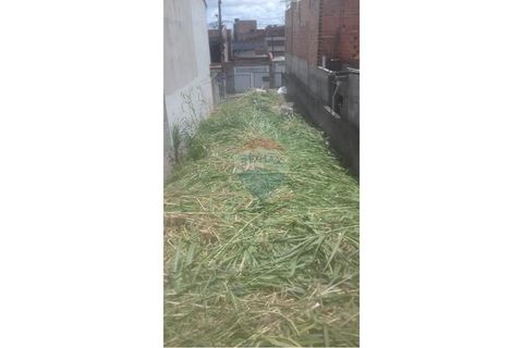 Foto Terreno