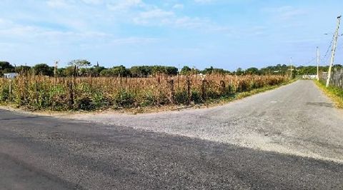 Foto Terreno