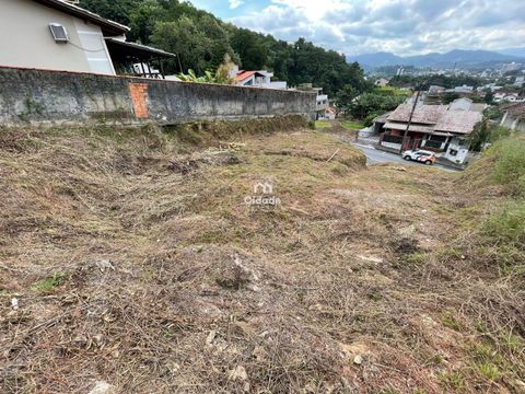 Foto Terreno