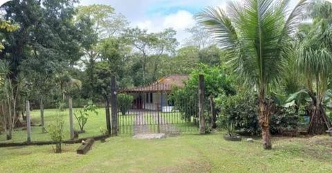 Foto Fazenda / Sítio / Chácara