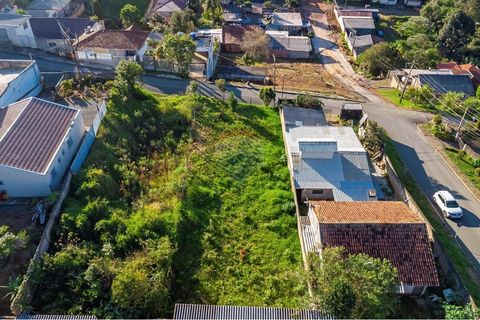 Foto Terreno