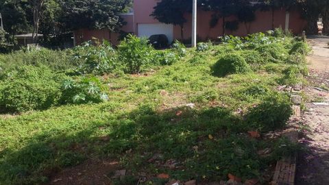 Foto Terreno
