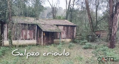 Foto Fazenda / Sítio / Chácara