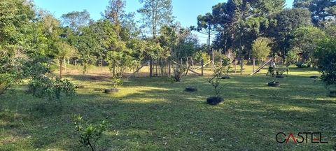 Foto Fazenda / Sítio / Chácara